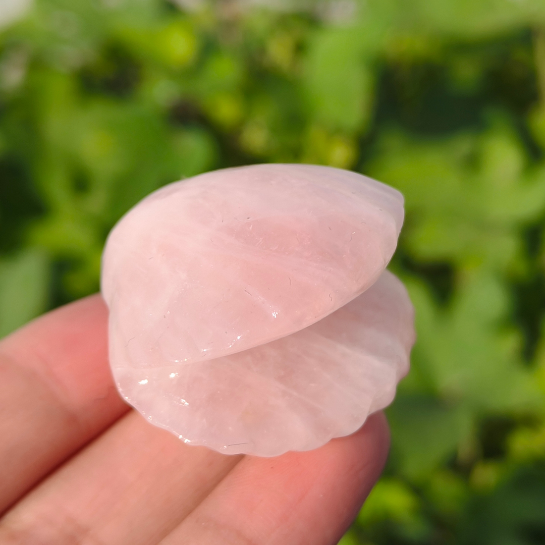 Natural Carved Crystal Shells