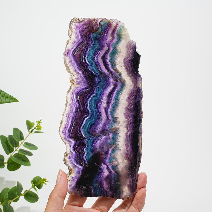 Unique,A Slightly Imperfect Natural Crystal Fluorite Slice