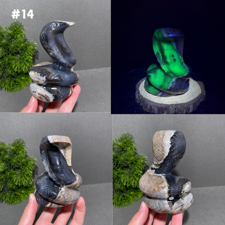 Unique,Volcanic Agate Snake
