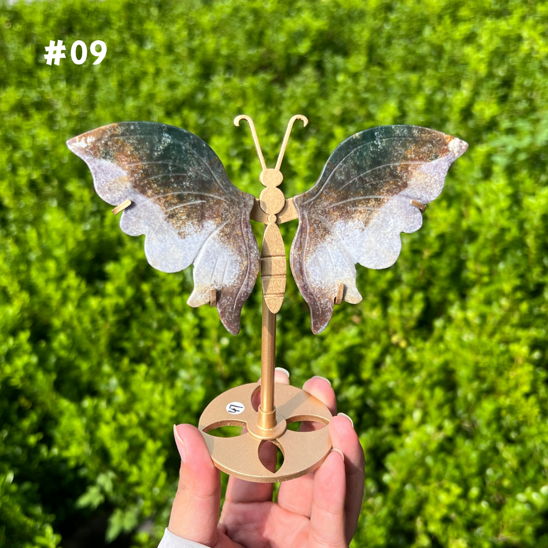 Ocean Jasper Butterfly