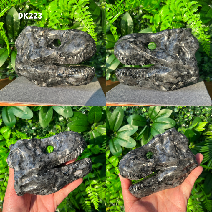 Tyrannosaurus Skull Carving