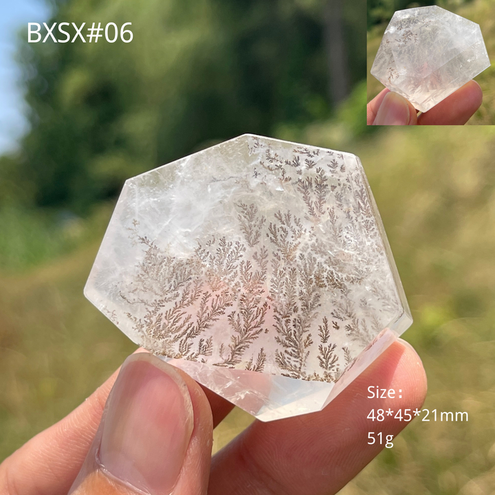 Unique,Natural Crystal Dendritic Quartz Freeform