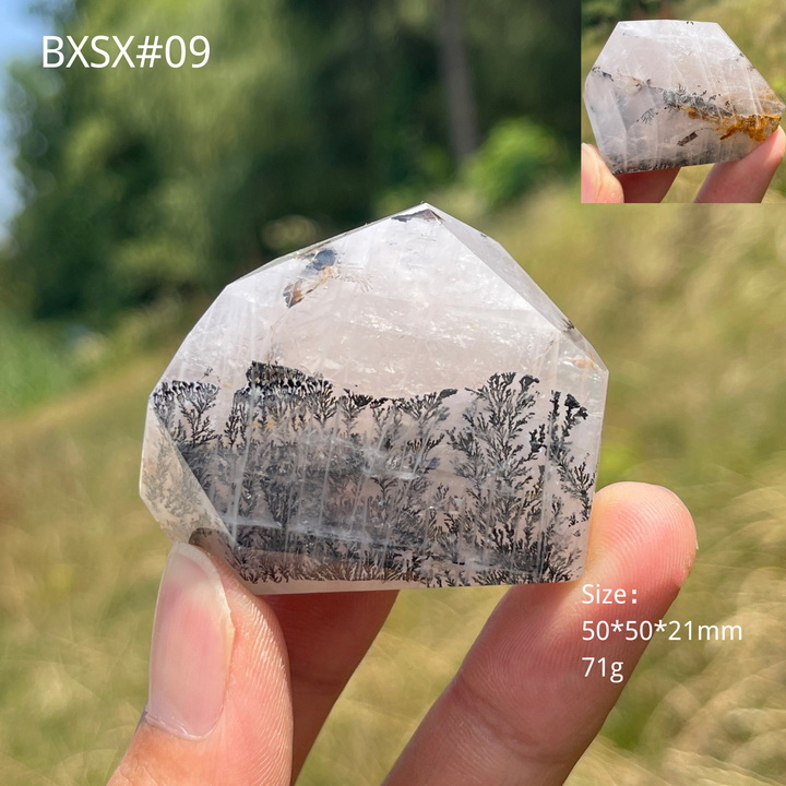 Unique,Natural Crystal Dendritic Quartz Freeform