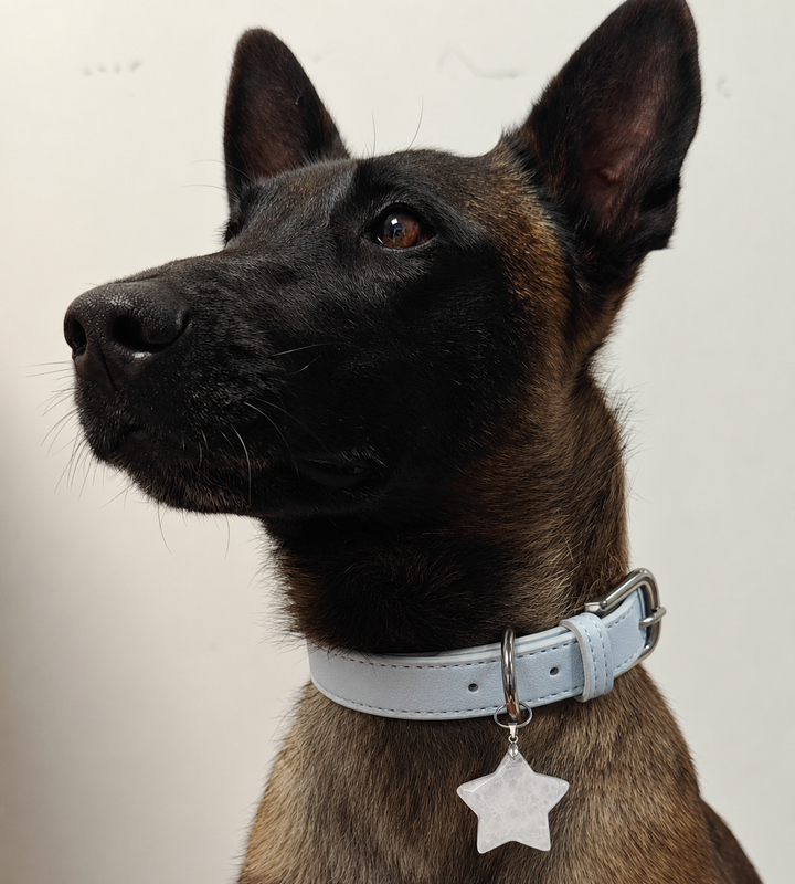 Natural Crystal Charm Dog Collar – Soft & Adjustable