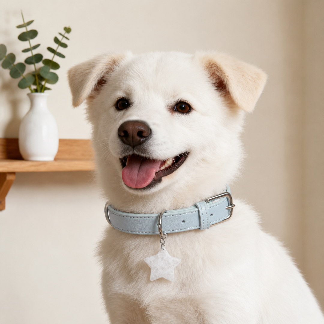 Natural Crystal Charm Dog Collar – Soft & Adjustable