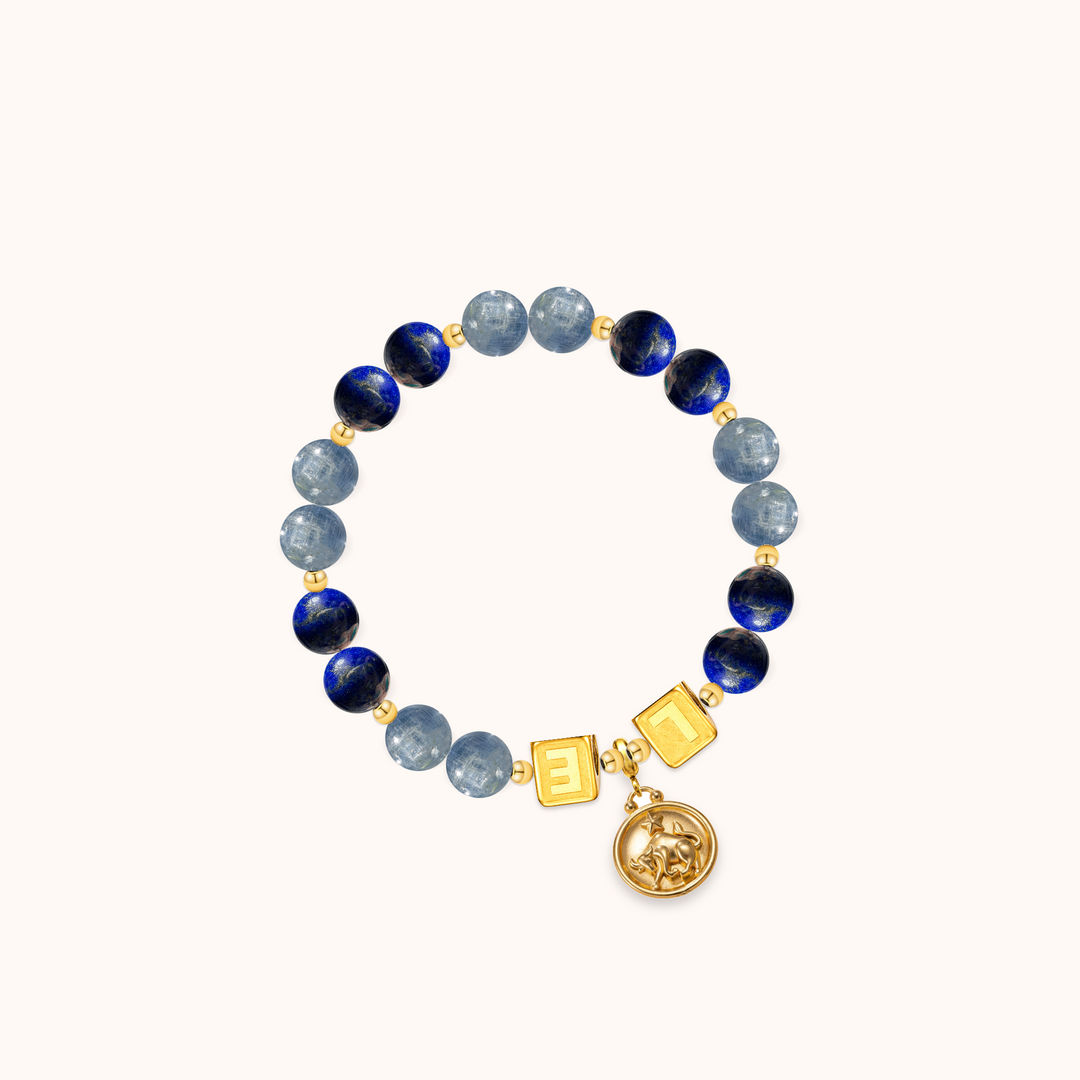 DIY bracelet DIY-6D5EP9