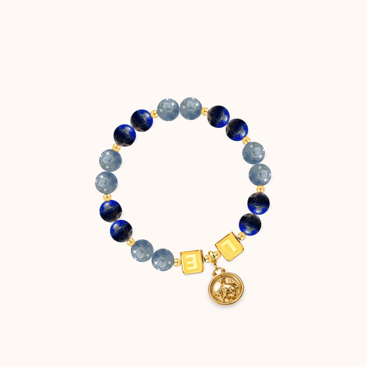DIY bracelet DIY-6D5EP9