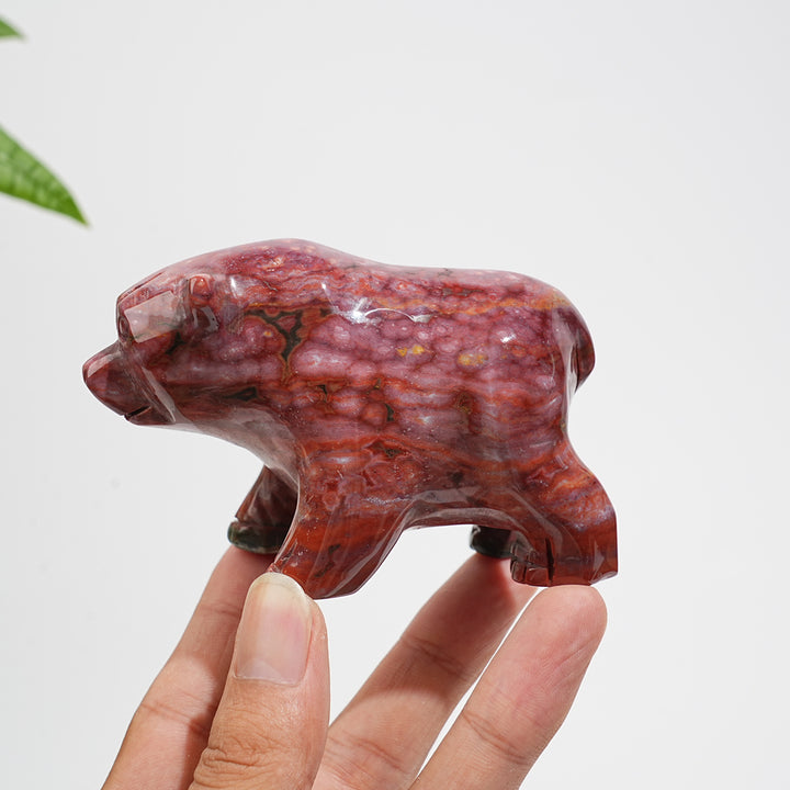 Unique, Natural Crystal Lovely Ocean Jasper Bear Carving