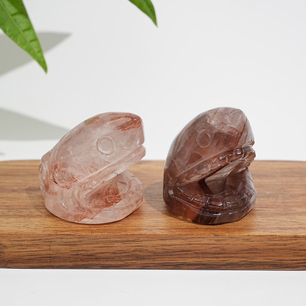 Natural Crystal Fire Quartz Shark Head Carving