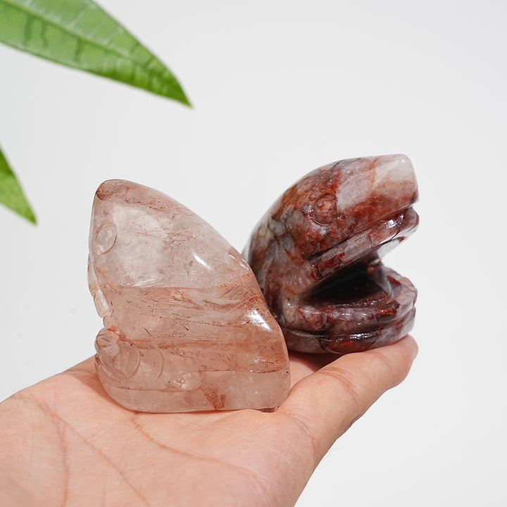Natural Crystal Fire Quartz Shark Head Carving