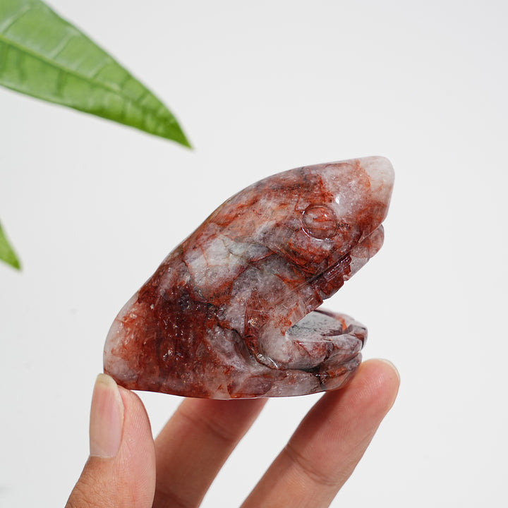 Natural Crystal Fire Quartz Shark Head Carving