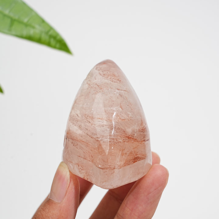 Natural Crystal Fire Quartz Shark Head Carving