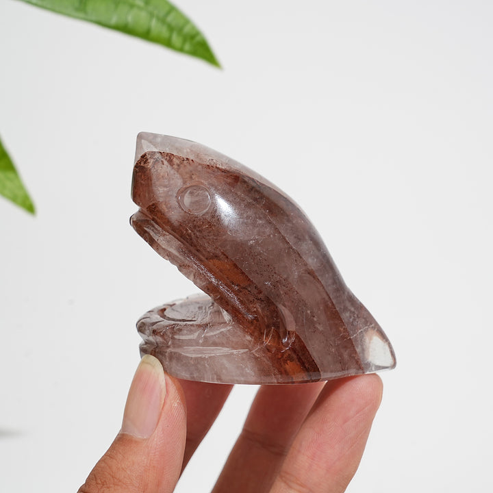 Natural Crystal Fire Quartz Shark Head Carving