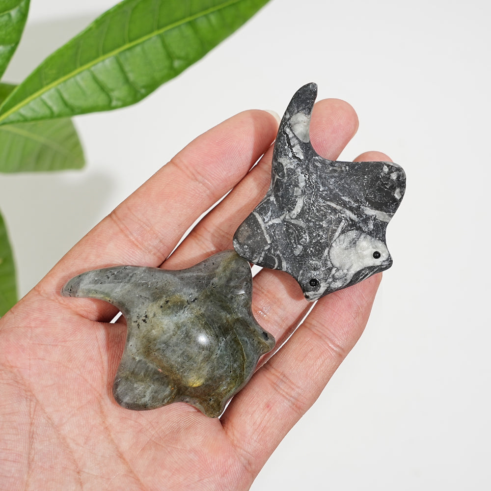 Natural Crystal Cute Manta Ray