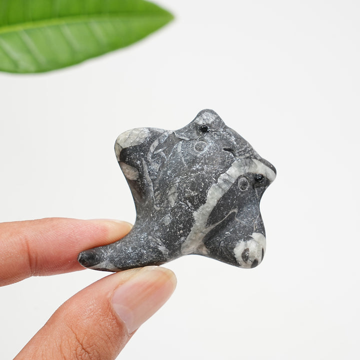 Natural Crystal Cute Manta Ray
