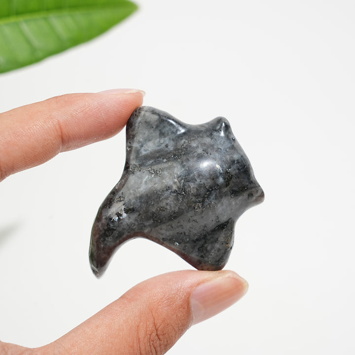 Natural Crystal Cute Manta Ray