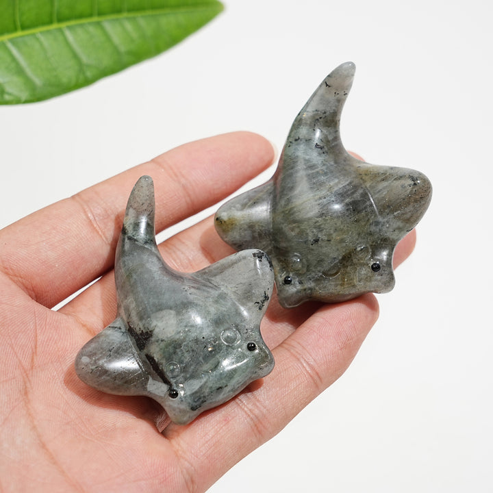 Natural Crystal Cute Manta Ray
