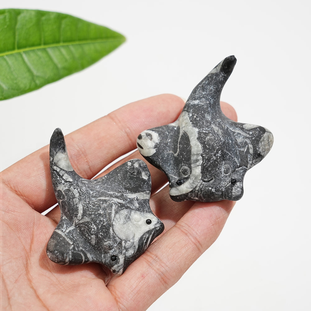 Natural Crystal Cute Manta Ray