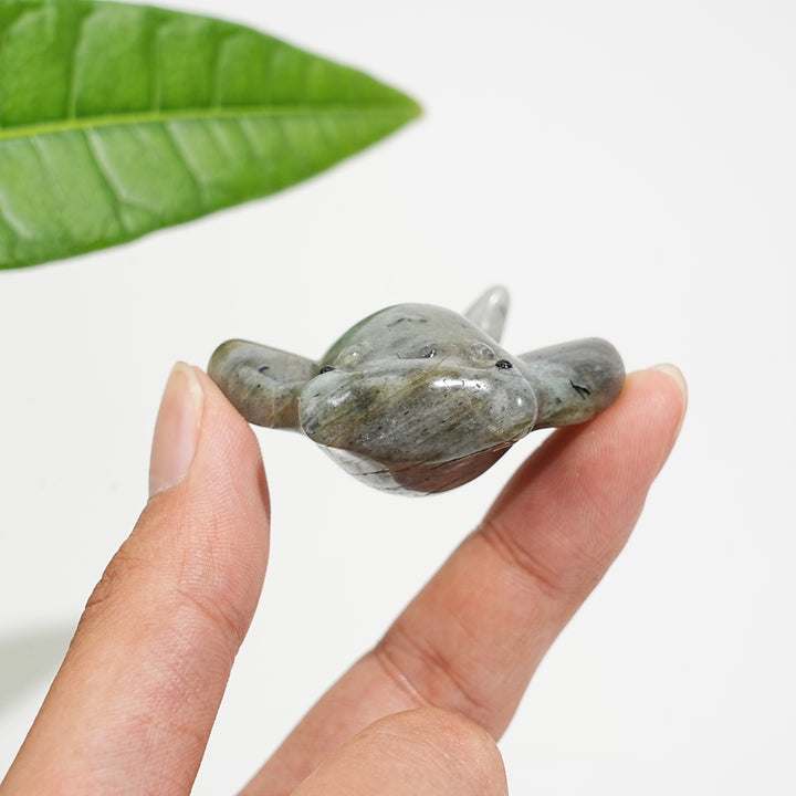 Natural Crystal Cute Manta Ray