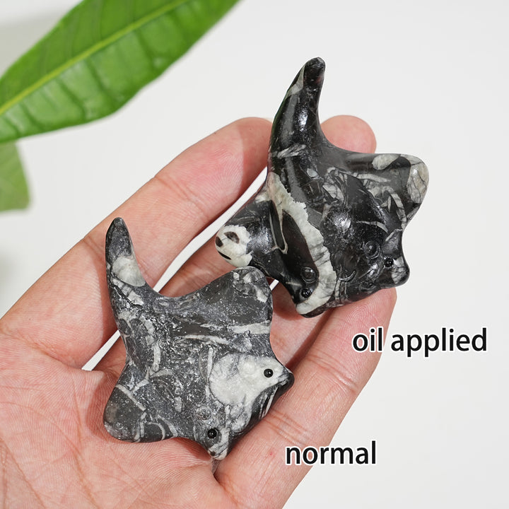 Natural Crystal Cute Manta Ray