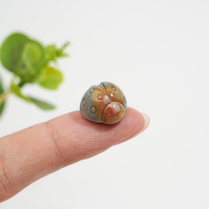 Natural Crystal Carving Alashan Agate Ladybug