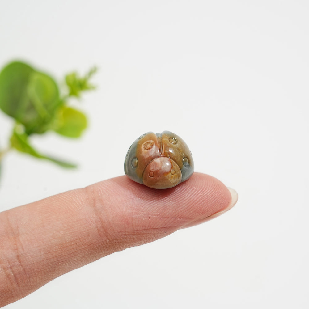 Natural Crystal Carving Alashan Agate Ladybug