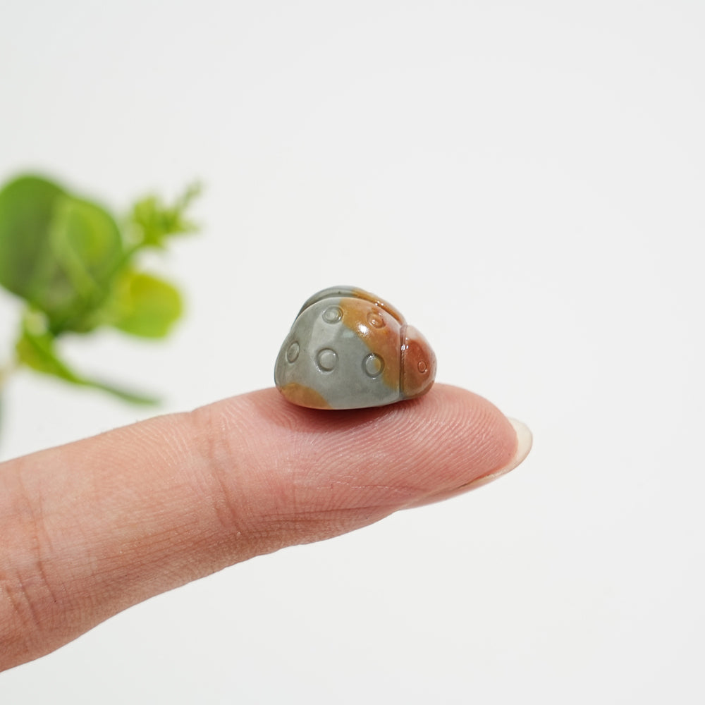 Natural Crystal Carving Alashan Agate Ladybug