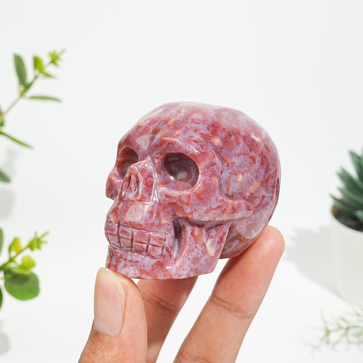 Unique,Natural Bold Ocean Jasper Skull Carving