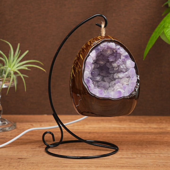 Amethyst Dinosaur Egg Lamp