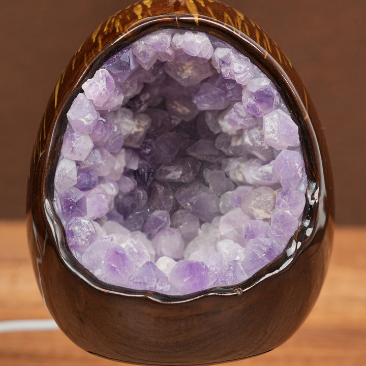 Amethyst Dinosaur Egg Lamp