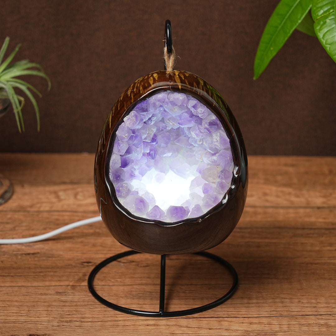 Amethyst Dinosaur Egg Lamp