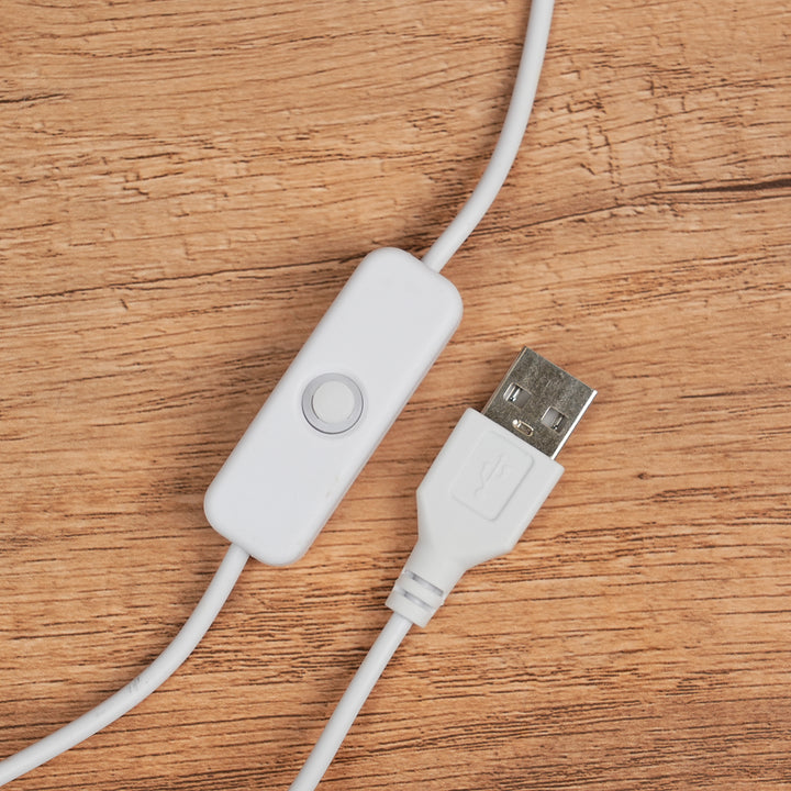 Amethyst Dinosaur Egg Lamp