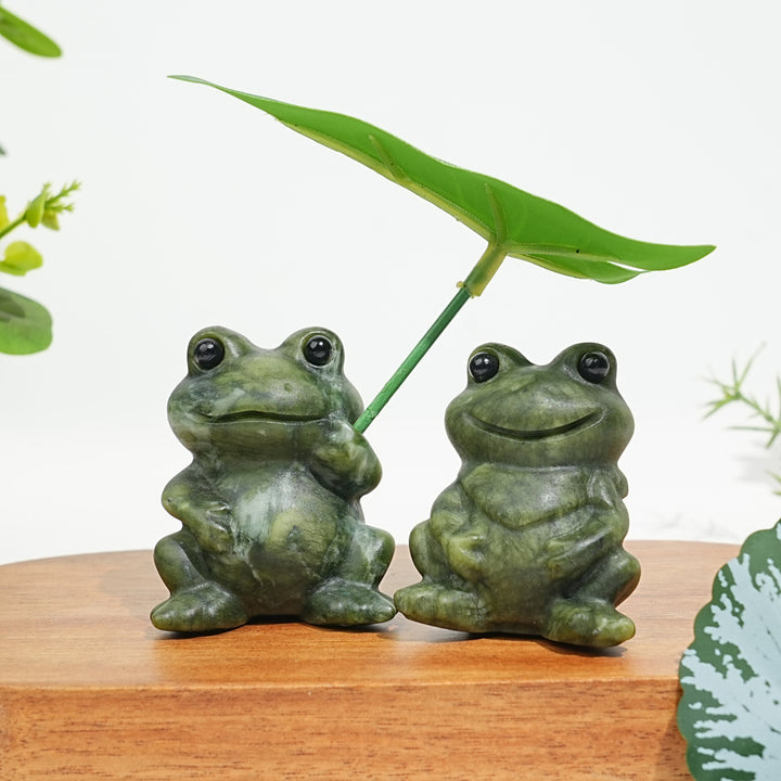 Natural Serpentine Couple Frogs Sharing A Lotus Leaf