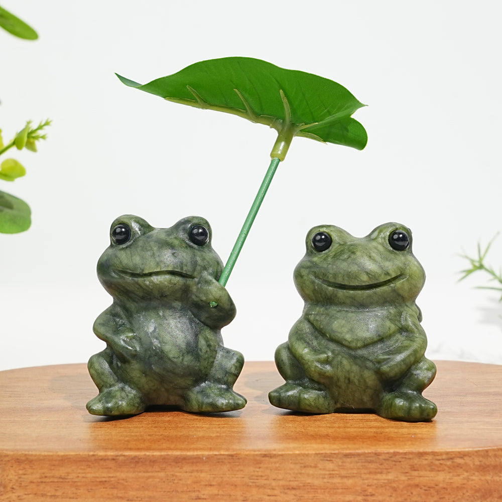 Natural Serpentine Couple Frogs Sharing A Lotus Leaf