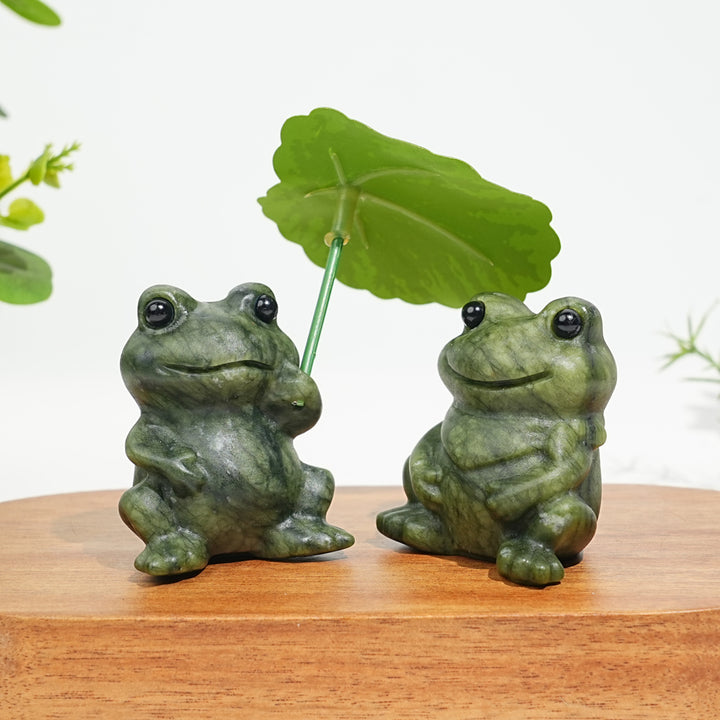 Natural Serpentine Couple Frogs Sharing A Lotus Leaf