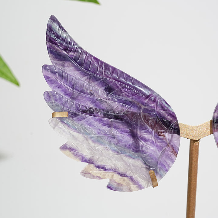 Unique,A Slightly Imperfect Natural Crystal Fluorite Angel Wing