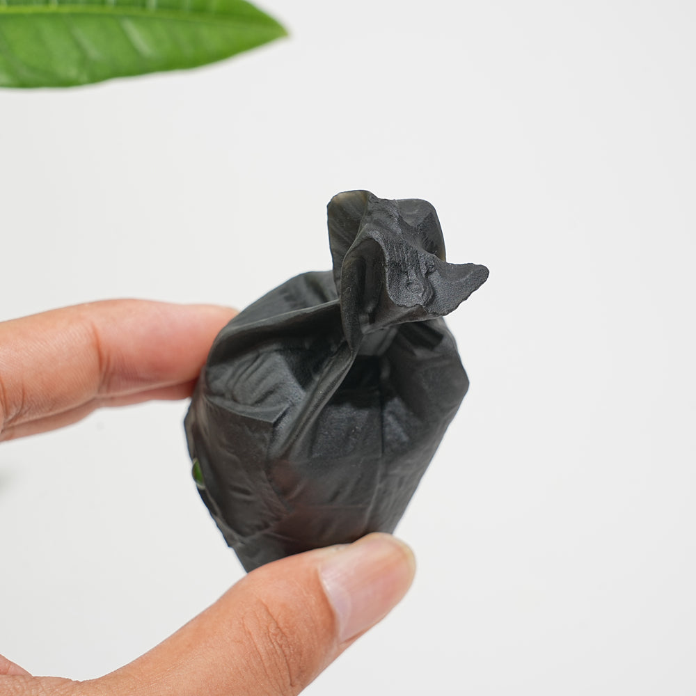 Natural Crystal Carving Black Obsidian Eye Candy Bag