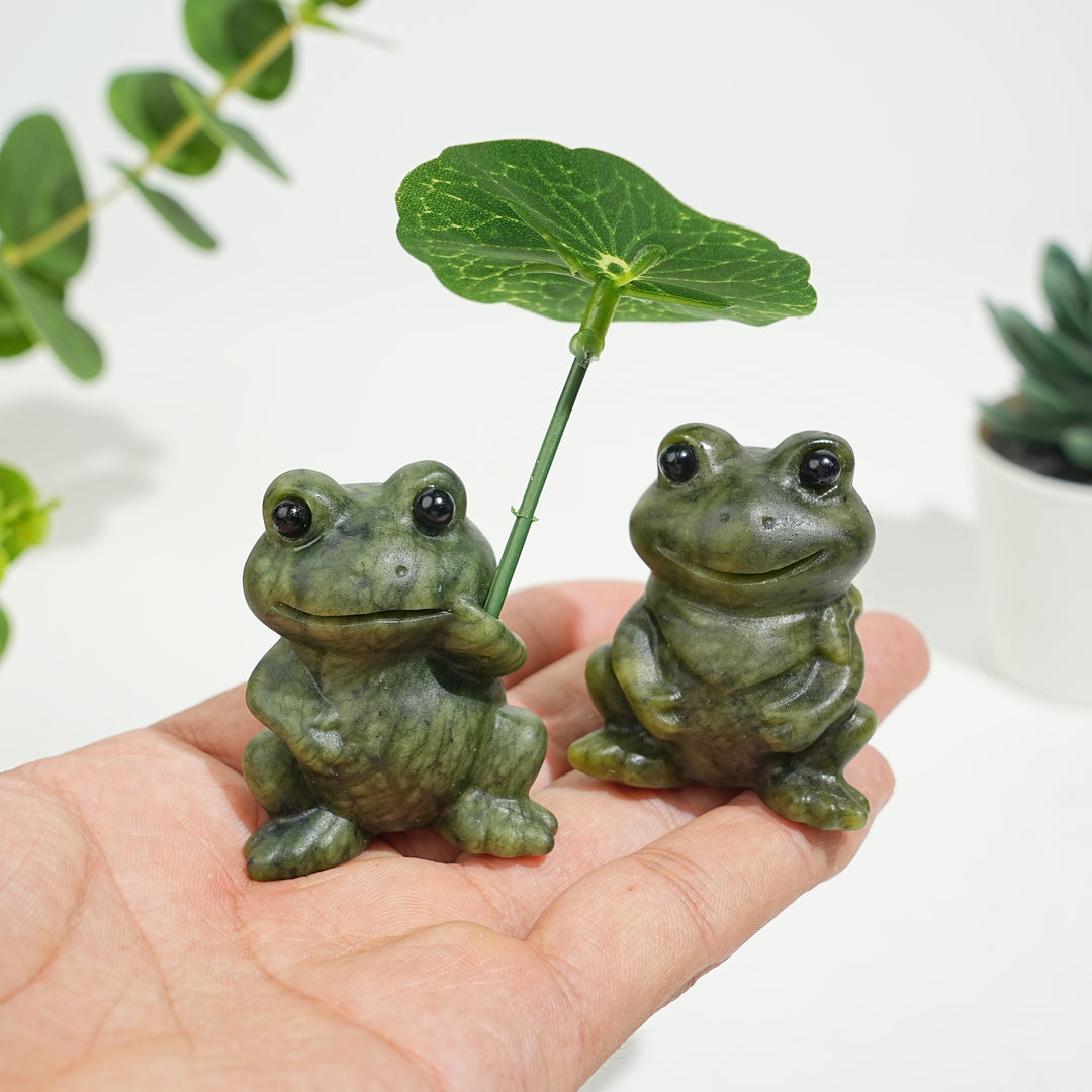 Natural Serpentine Couple Frogs Sharing A Lotus Leaf
