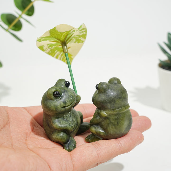 Natural Serpentine Couple Frogs Sharing A Lotus Leaf