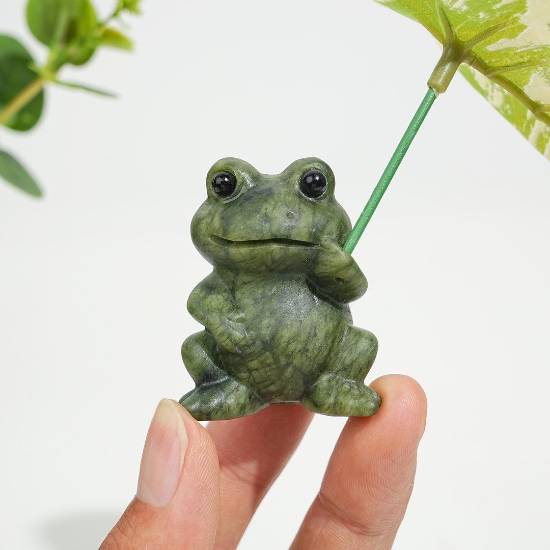 Natural Serpentine Couple Frogs Sharing A Lotus Leaf