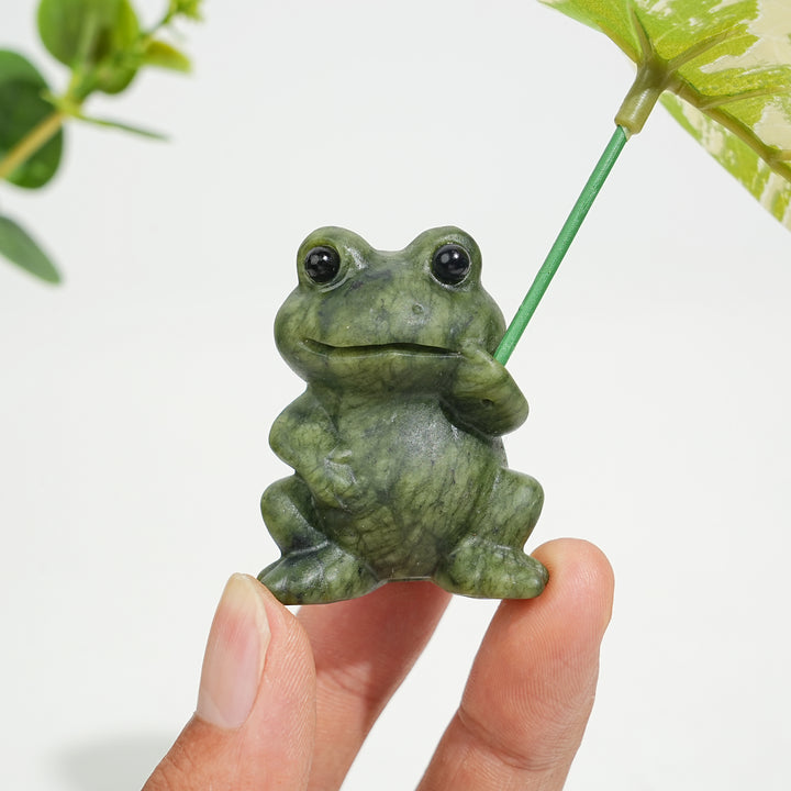 Natural Serpentine Couple Frogs Sharing A Lotus Leaf