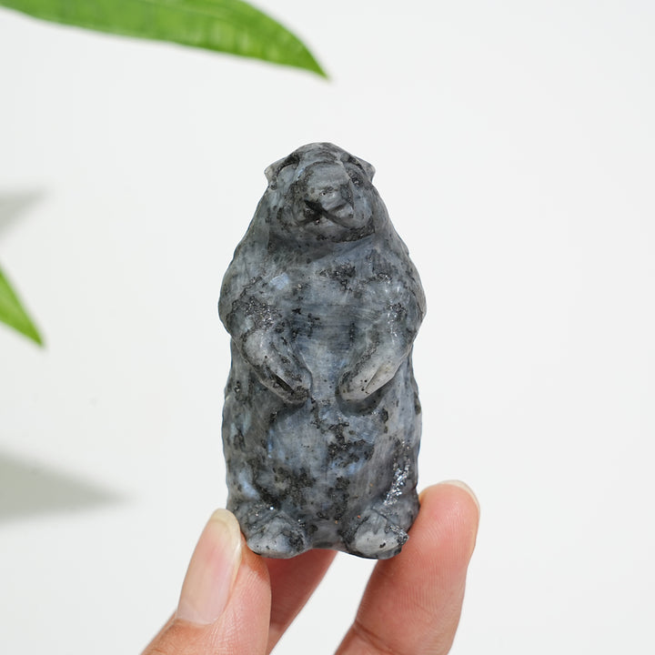 Natural Crystal Standing Groundhog Carving