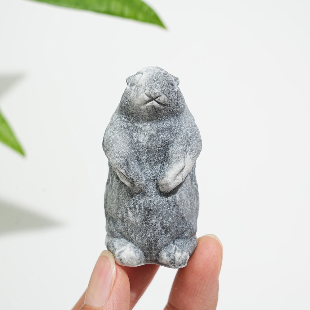 Natural Crystal Standing Groundhog Carving