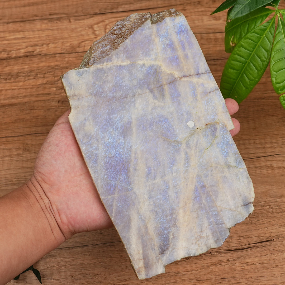 Natural Moonstone Slices