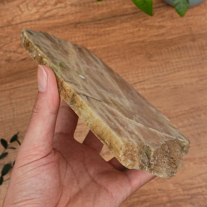Natural Moonstone Slices