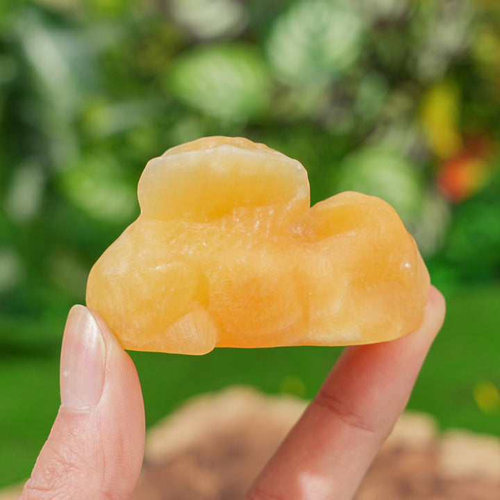 Natural Crystal Carving Sleeping Angel Cat & Dog