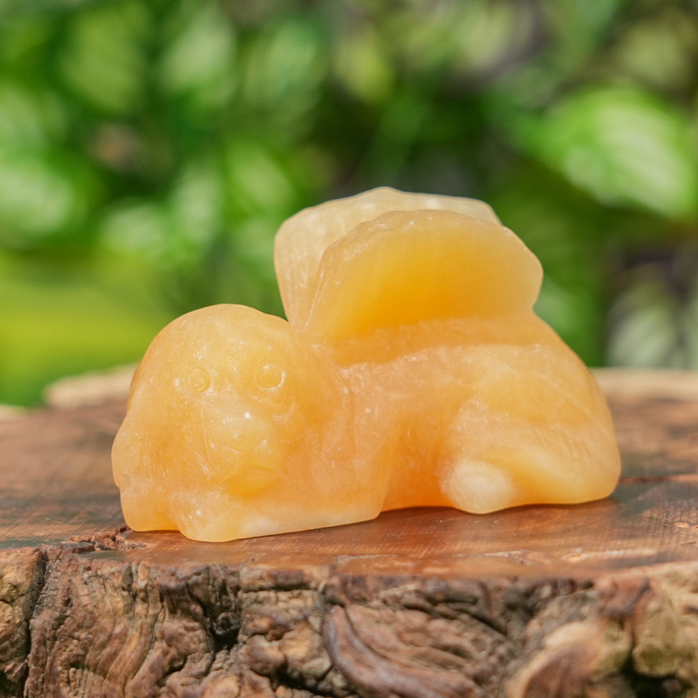 Natural Crystal Carving Sleeping Angel Cat & Dog