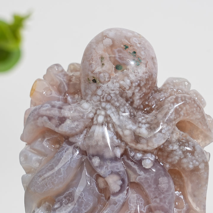 Unique,Natural Crystal Flower Agate Octopus