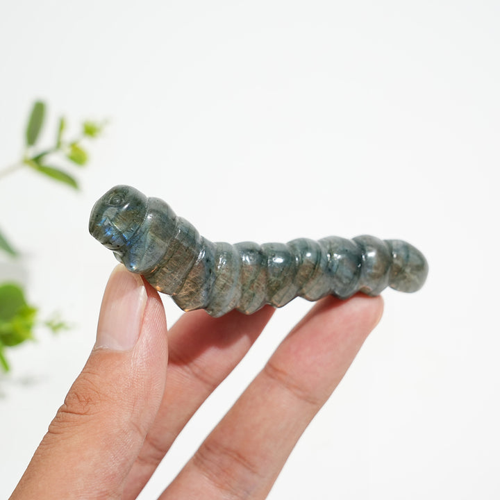 Natural Crystal Carving Labradorite Caterpillar