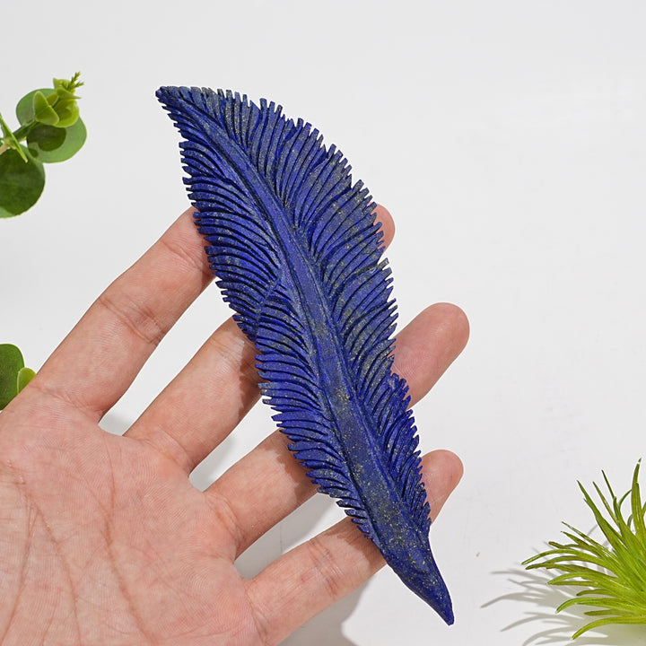Unique,Natural Crystal Carving Lapis Lazuli Feather